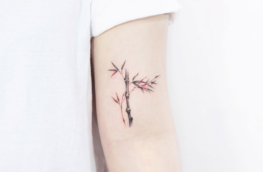 Bamboo tattoo idea
